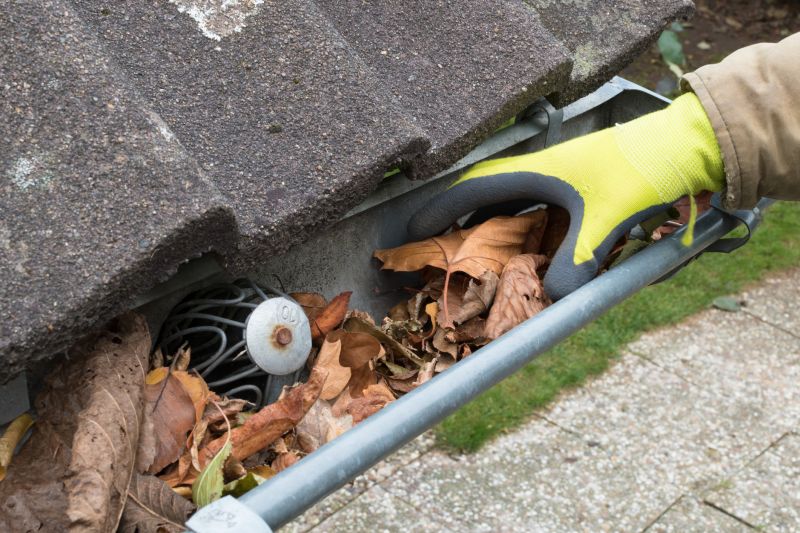 Gutter and Roof Maintenance